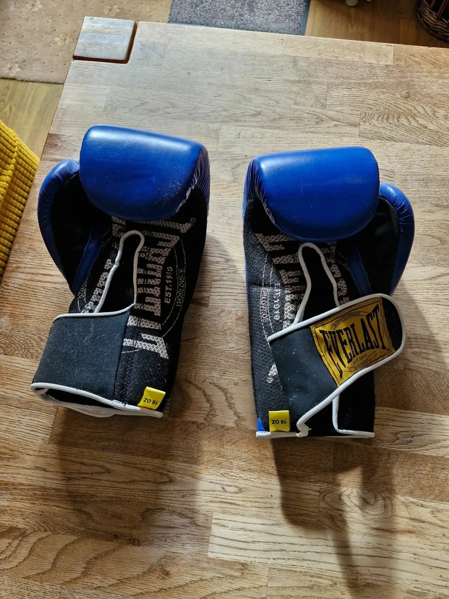 Boxing gloves - Image 1