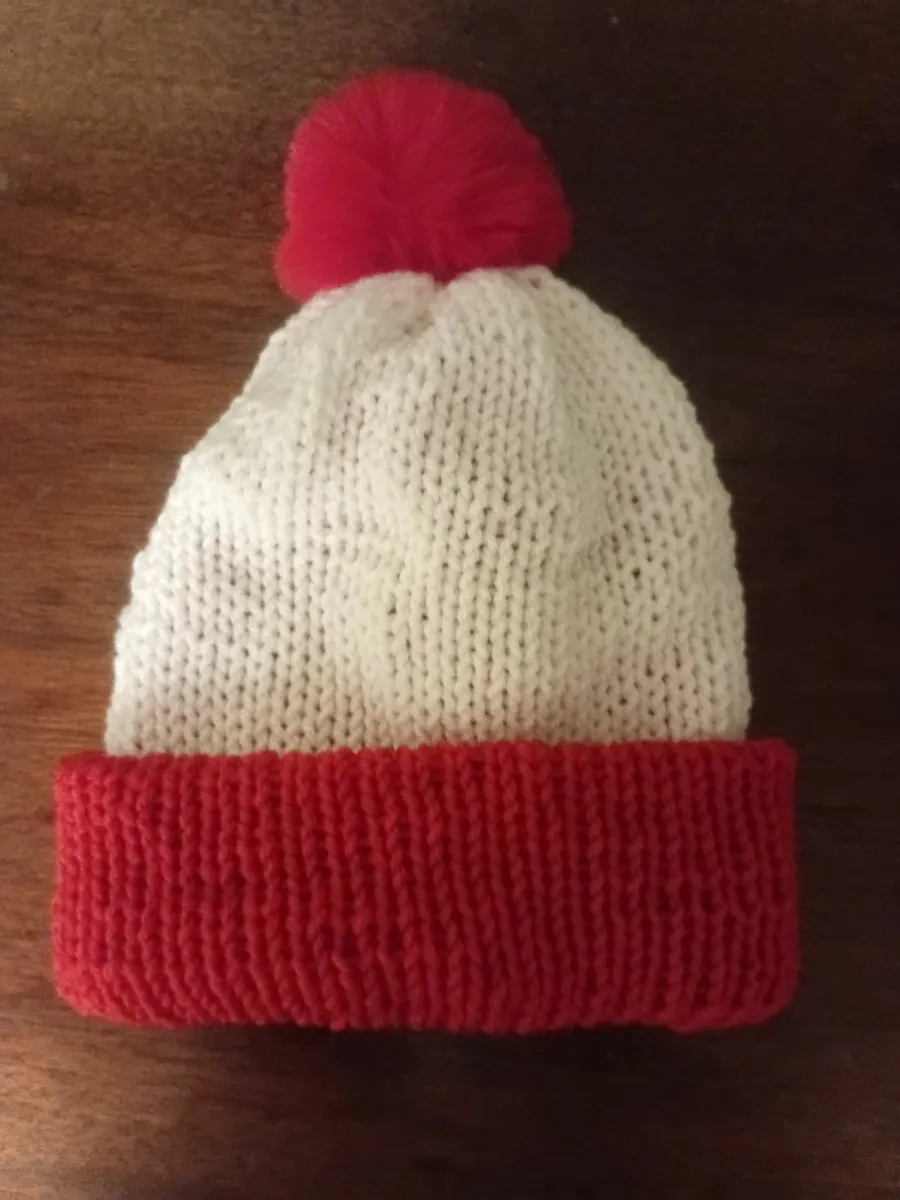 Beanie Hat - Image 1