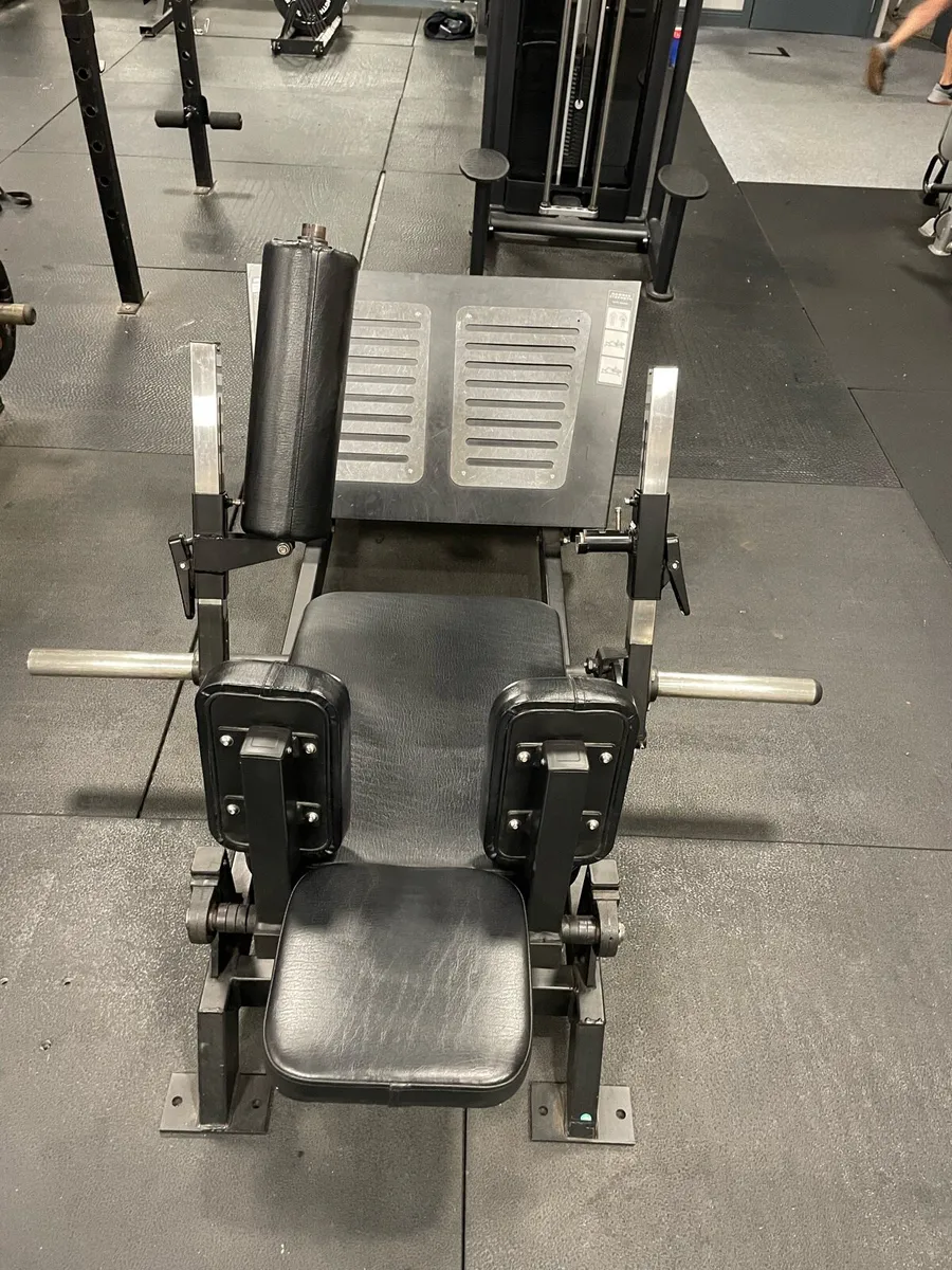 Plate Loaded Hip Thrust/Glute Drive - Image 1