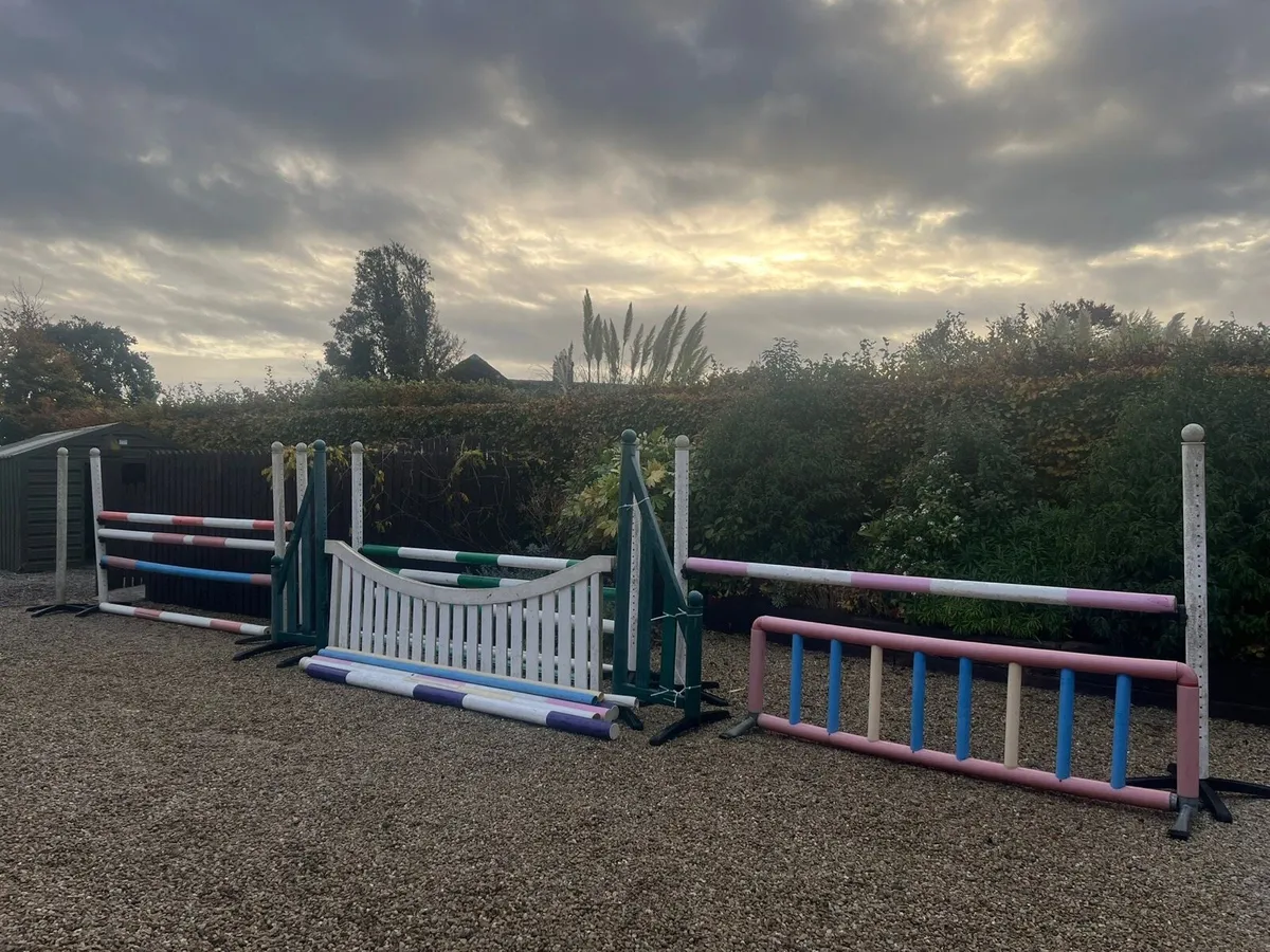 5 Show Jumps - Image 1