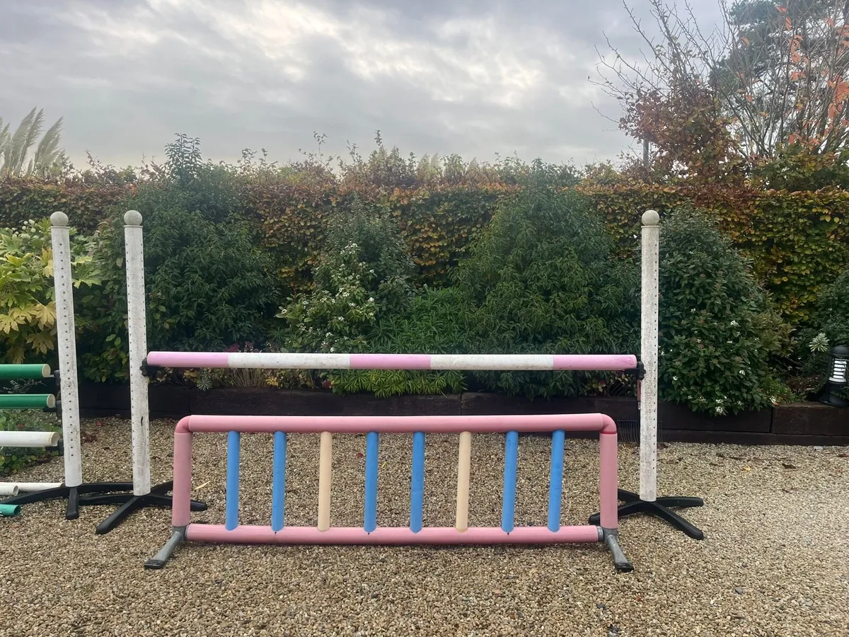 5 Show Jumps - Image 3