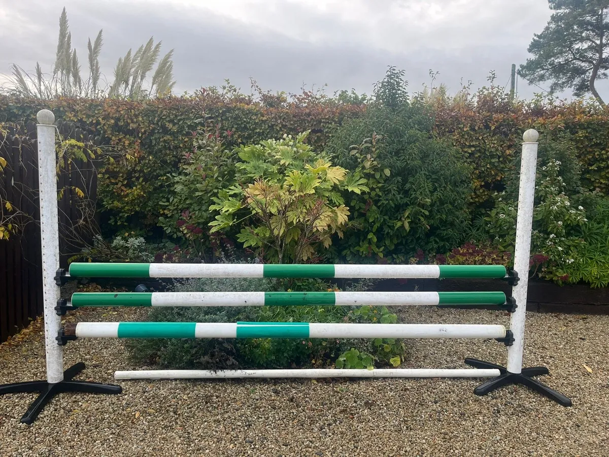 5 Show Jumps - Image 4