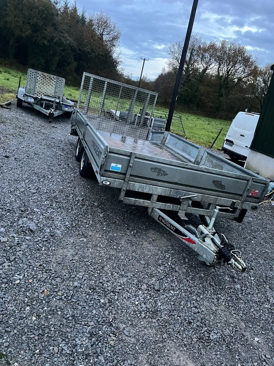 Nugent 16 by 6,7 plant / cat transporter 2023 - Image 3