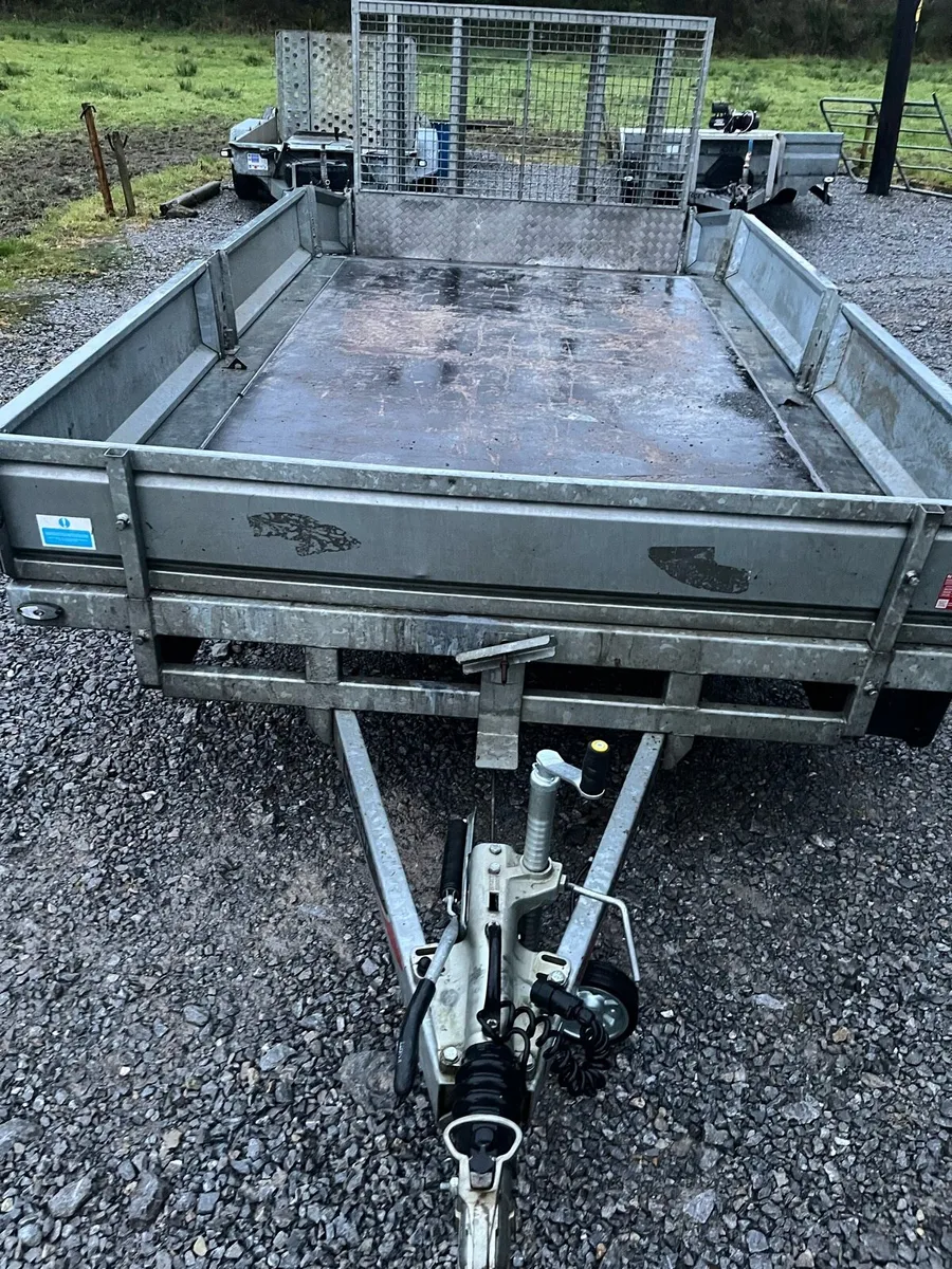 Nugent 16 by 6,7 plant / cat transporter 2023 - Image 4