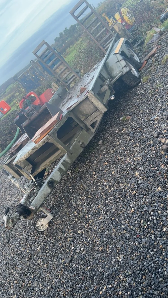 Nugent 12 x6 plant trailer - Image 1