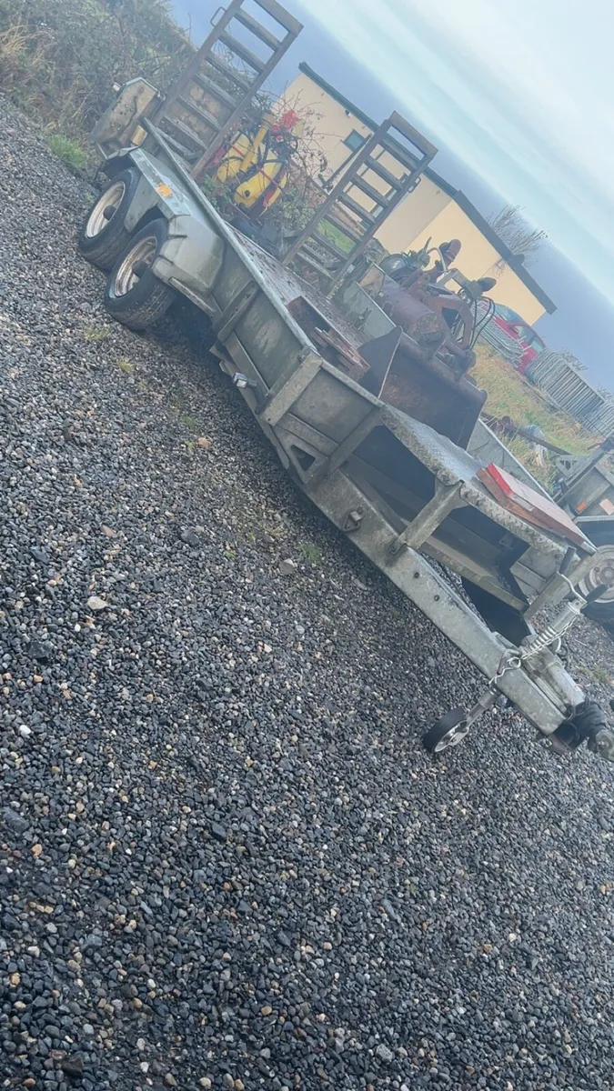 Nugent 12 x6 plant trailer - Image 2