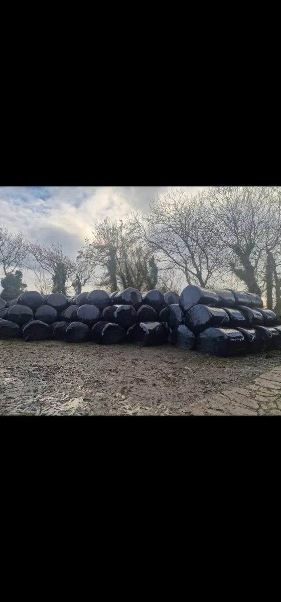Round Bales - Image 1
