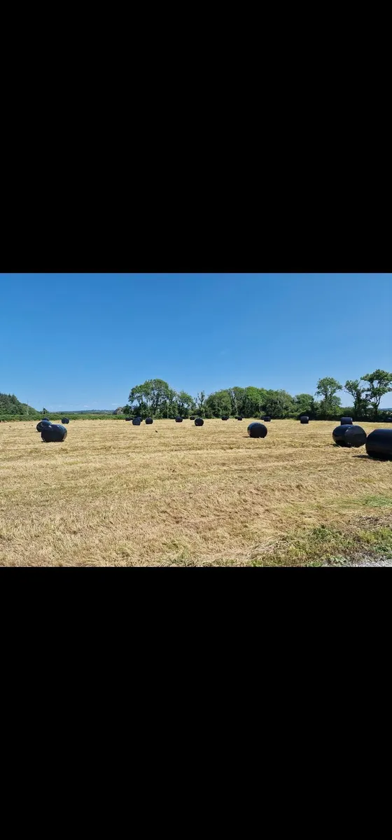 Round Bales - Image 2