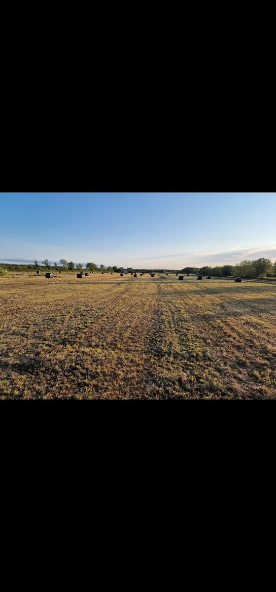 Round Bales - Image 3