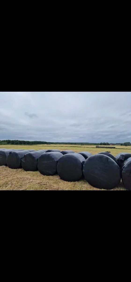 Round Bales - Image 4