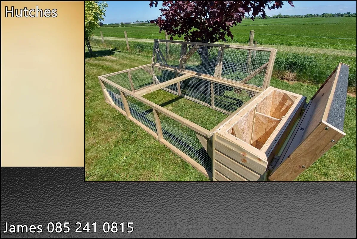 Guinea Pig / Rabbit Enclosure - Image 1