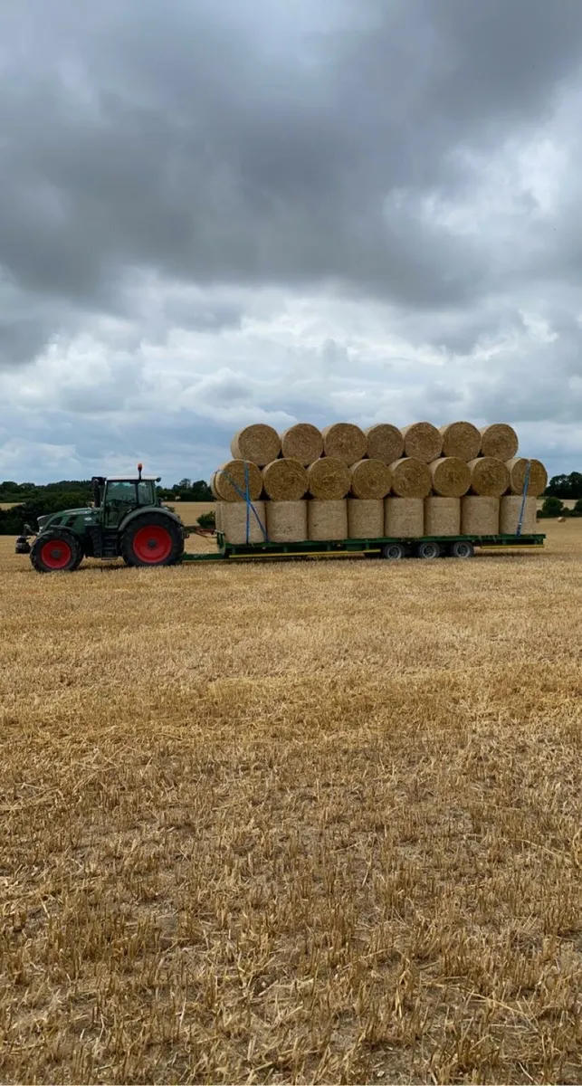 Spring Barley Straw For Sale