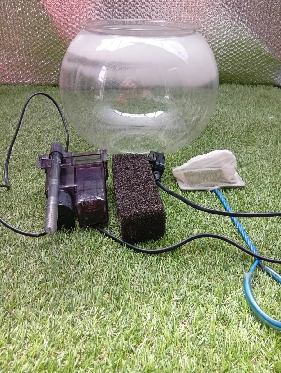 Universal Fish tank terrarium plant growing bowl - Image 1