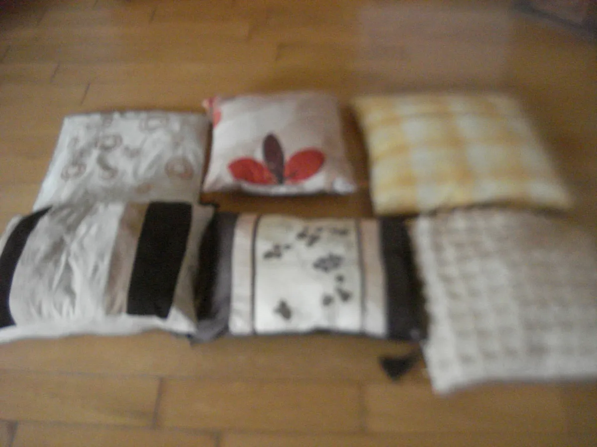 6 ASSORTED CUSHIONS  OF VARIOUS SHAPES & SIZES. - Image 2