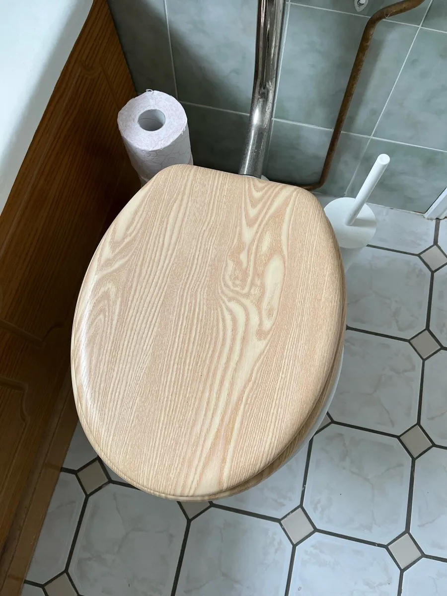 Victorian toilet - Image 1