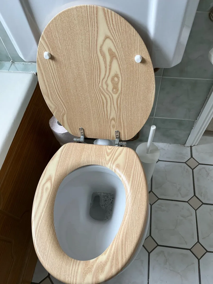 Victorian toilet - Image 2