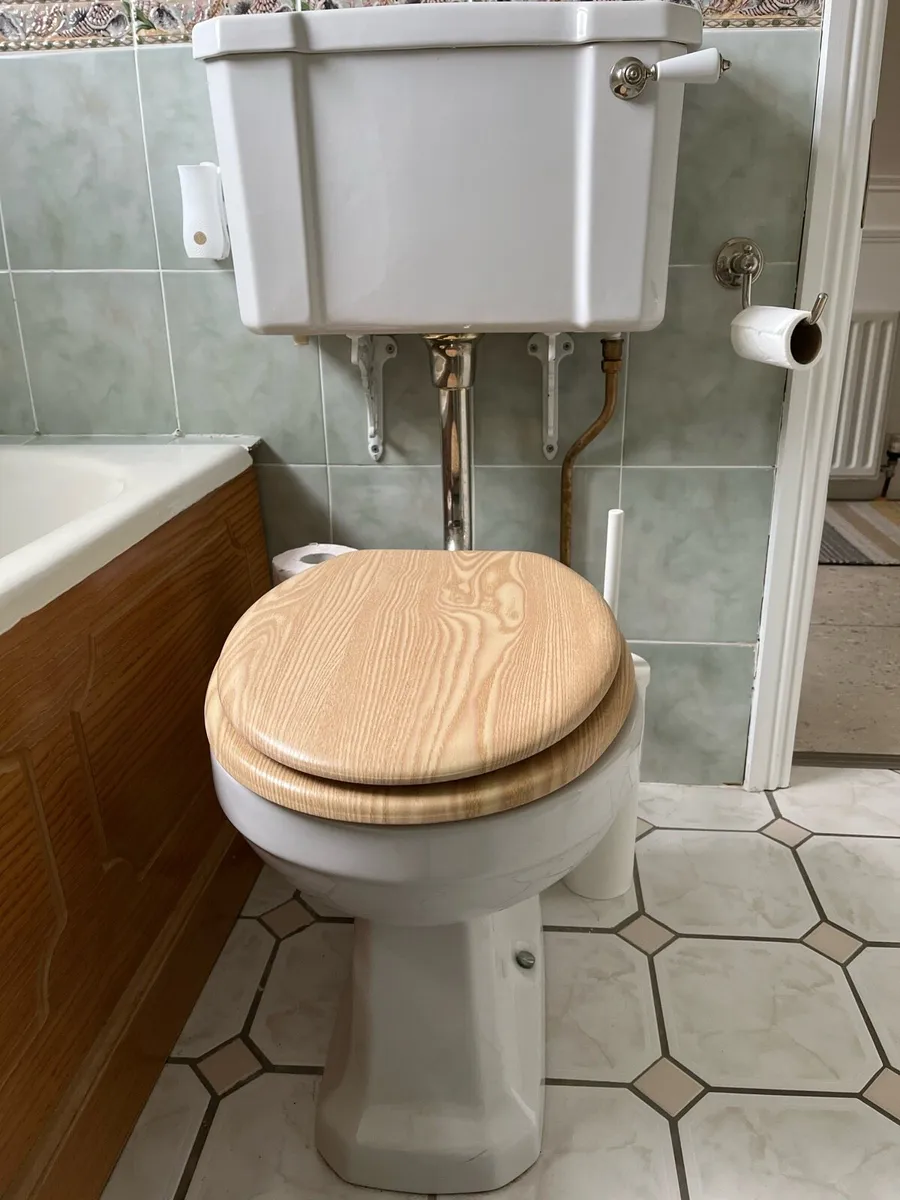 Victorian toilet - Image 3