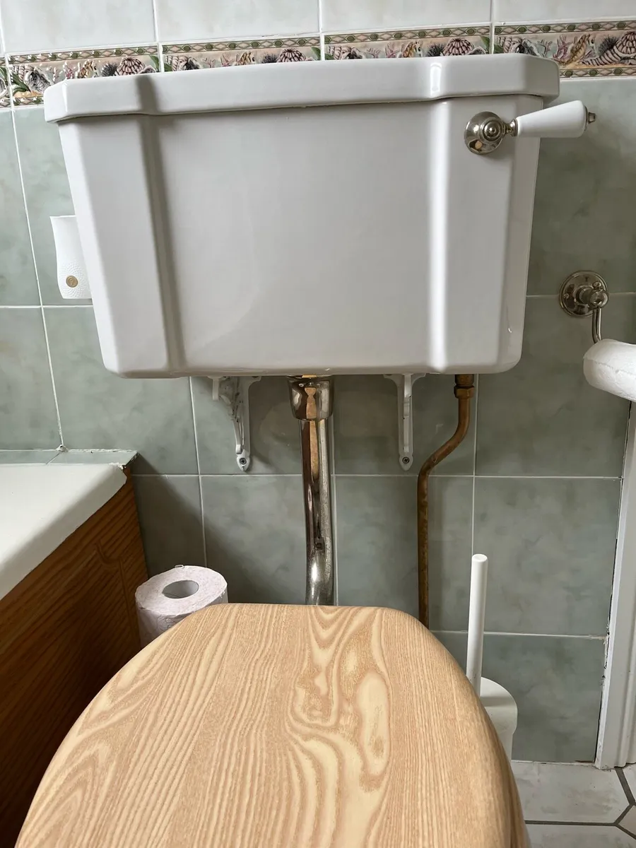 Victorian toilet - Image 4