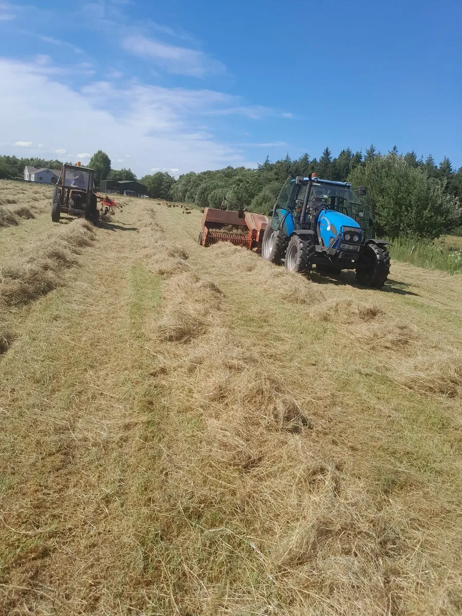 Square bales of hay - Image 4