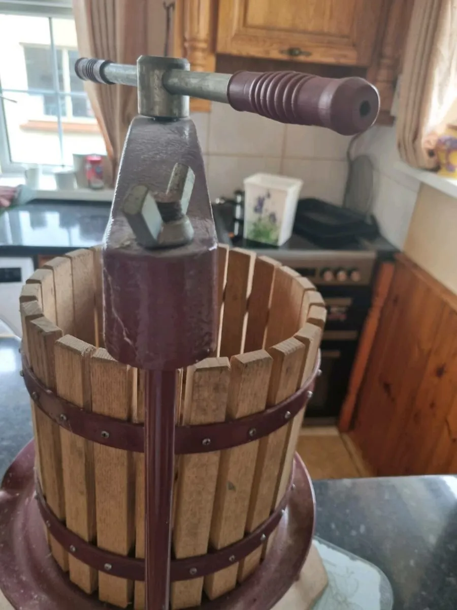 Fruit press - Image 4