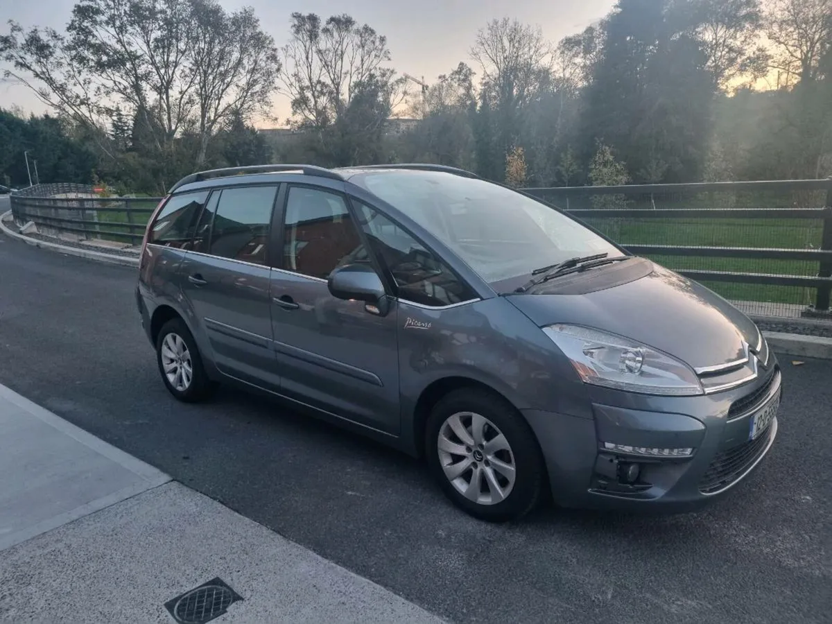 Citreon pacasso - Image 4