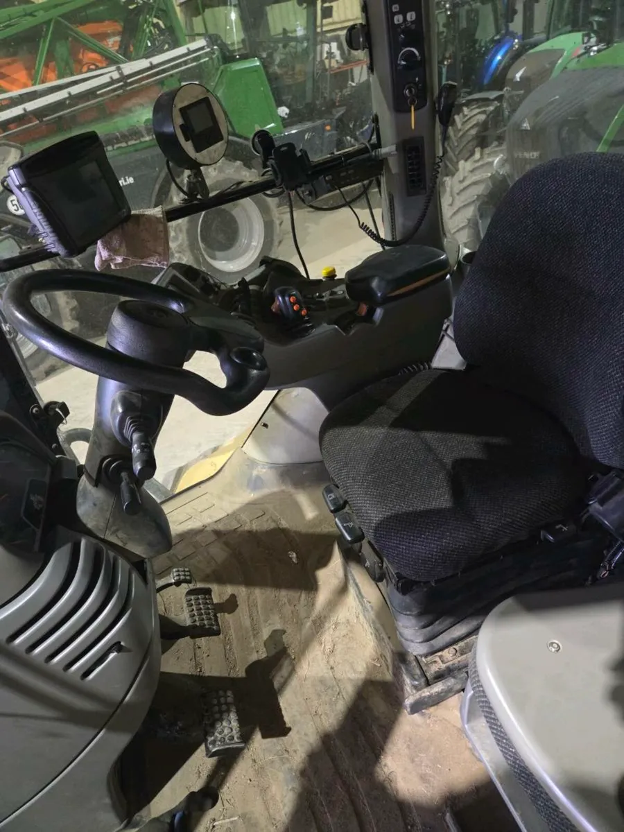 Cat Challenger - Image 3