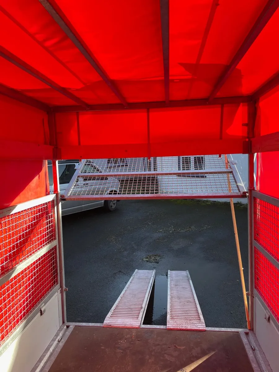 German 10x6 covered twin axle trailer - Image 4