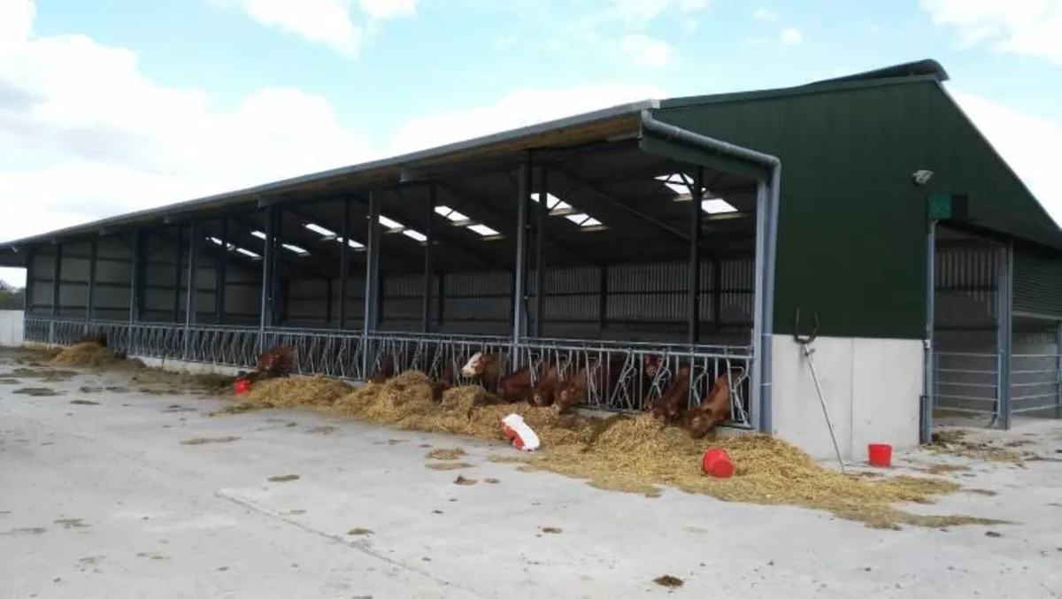 Looking for Shed to rent