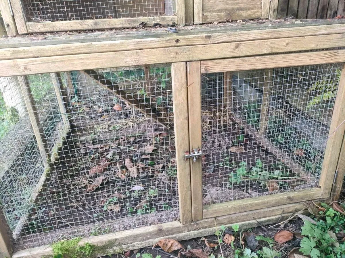 Animal hutch - Image 2