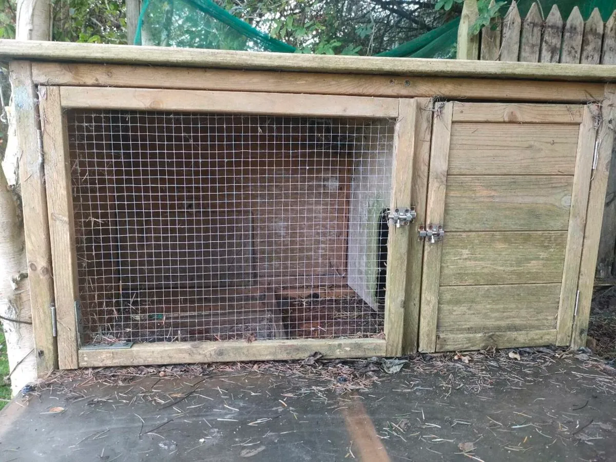 Animal hutch - Image 3