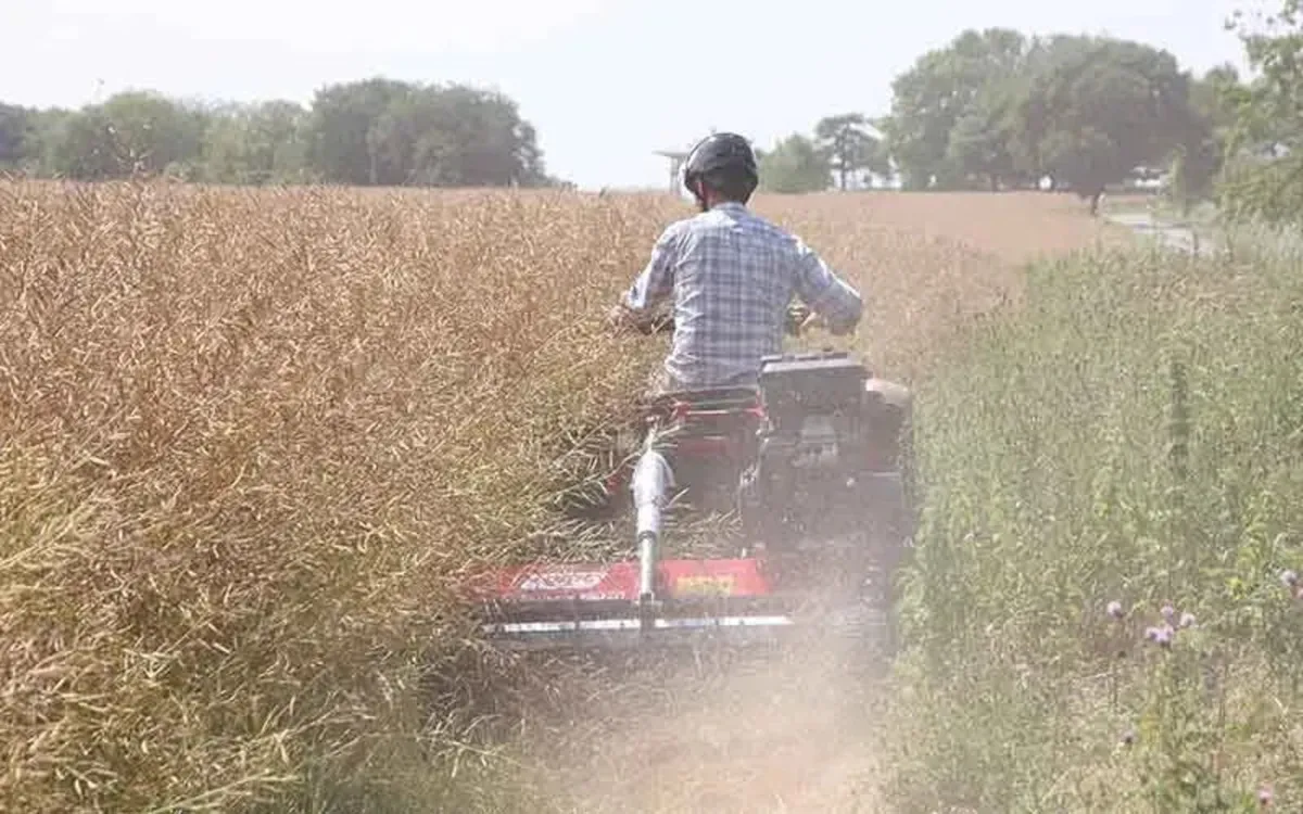 New Logic MFT Flail Quad Mower - Image 3