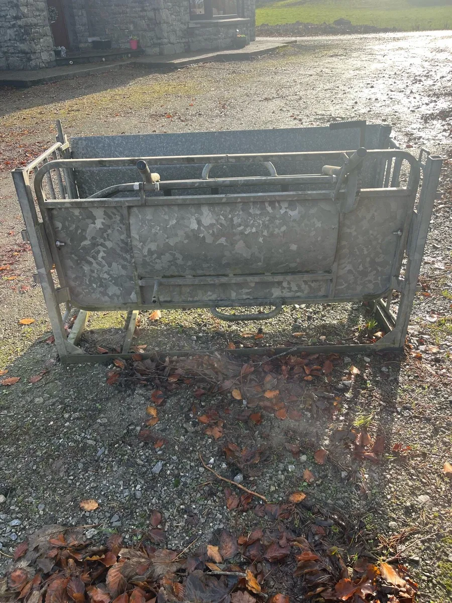 Cormac sheep turnover crate - Image 2