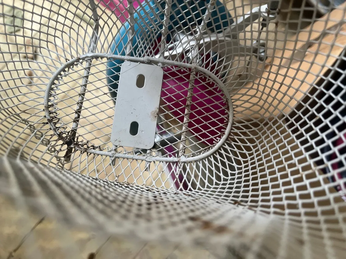 Frozen Elsa children’s kids Bike - Image 4