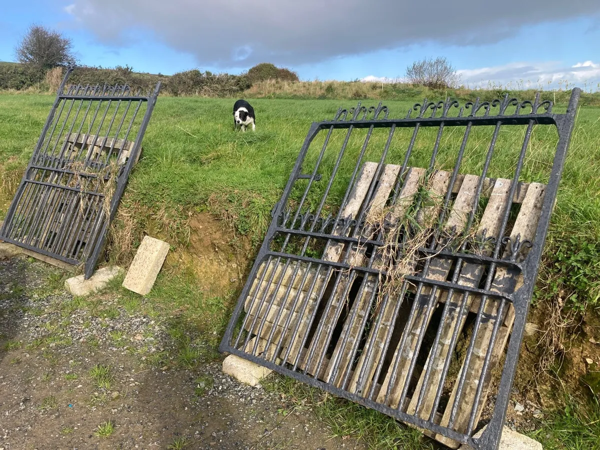 Period Entrance Gates - Image 1