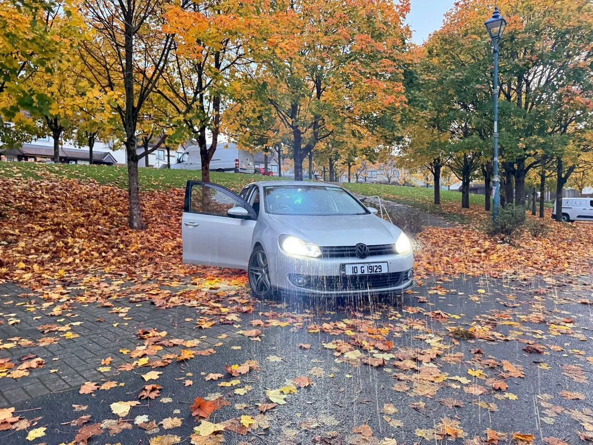 Volkswagen Golf 2010 1.6 TDI - Image 1
