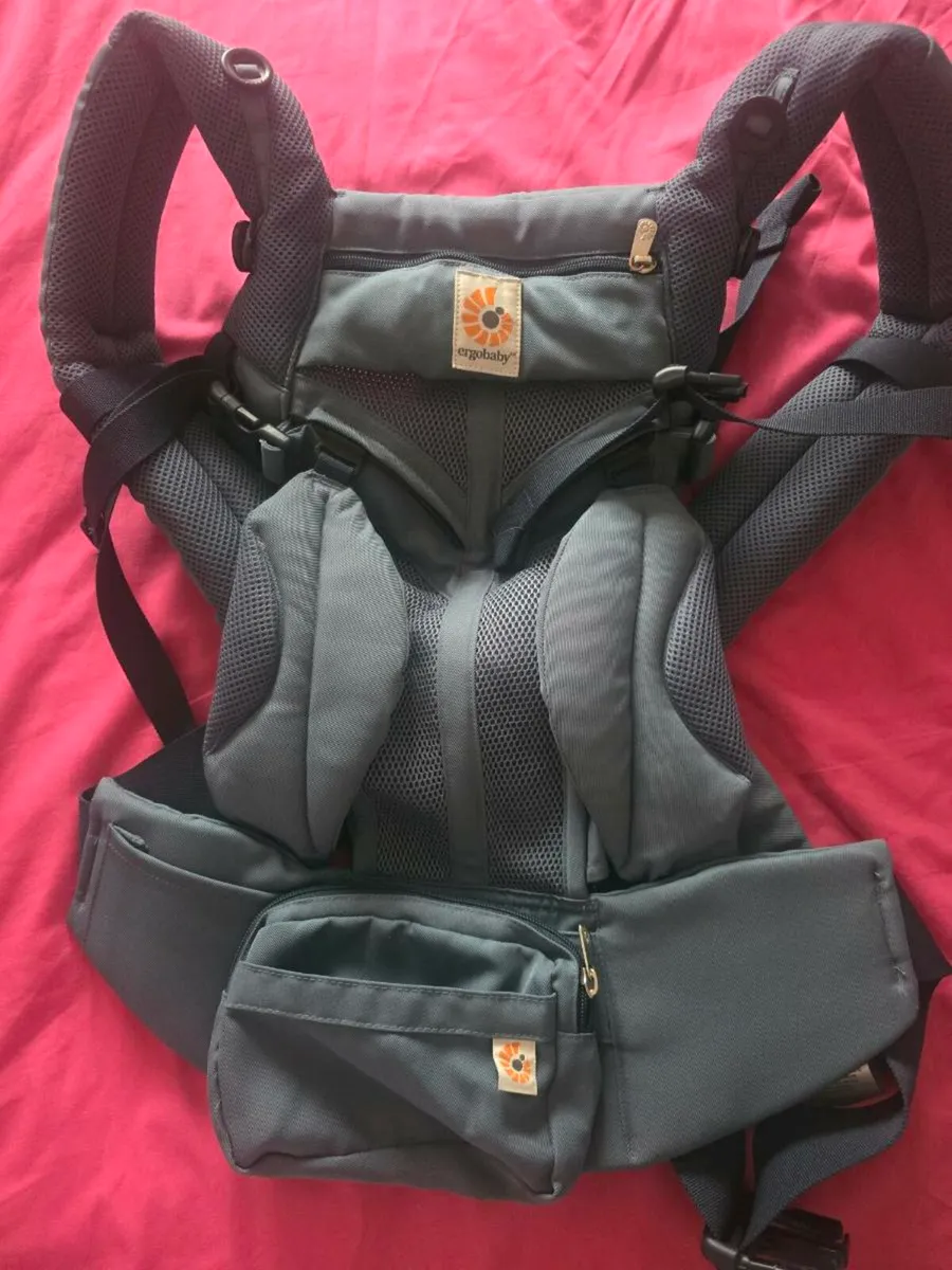 Ergo Baby Carrier - Image 1