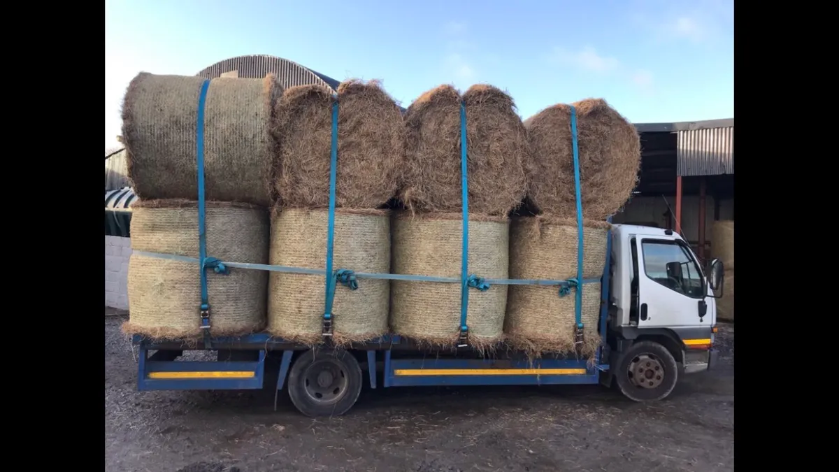 Green hay, haylage and straw delivered - Image 1