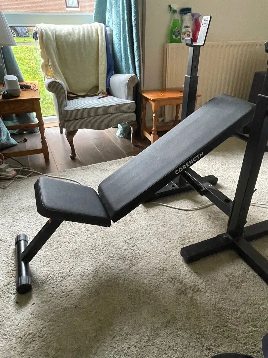 Weights Bench - Image 4