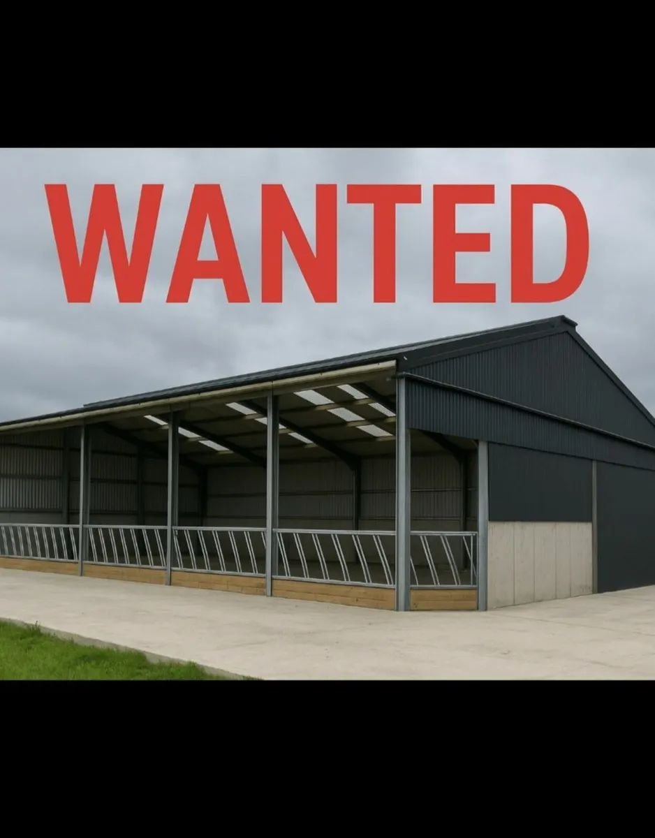 Slatted Shed Wanted