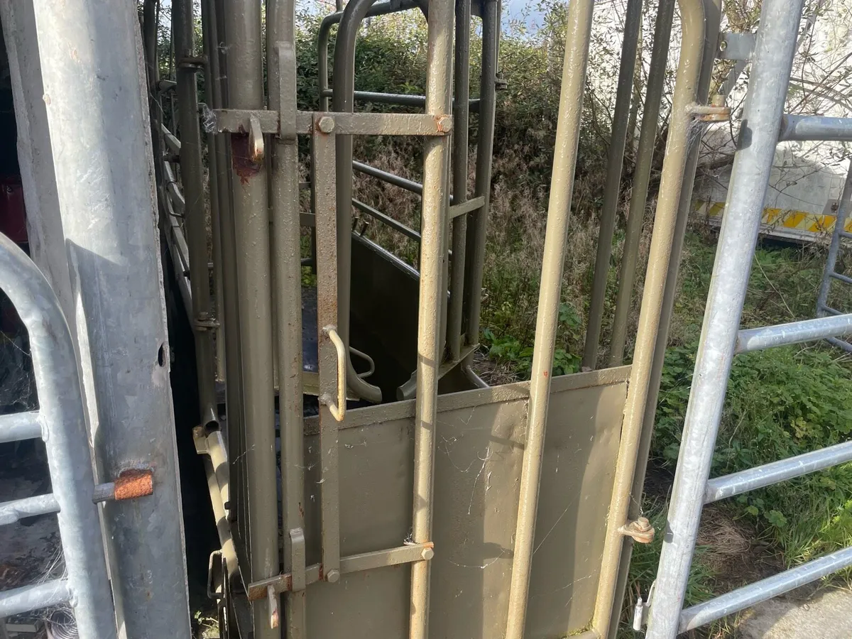 Cattle crush - Image 1