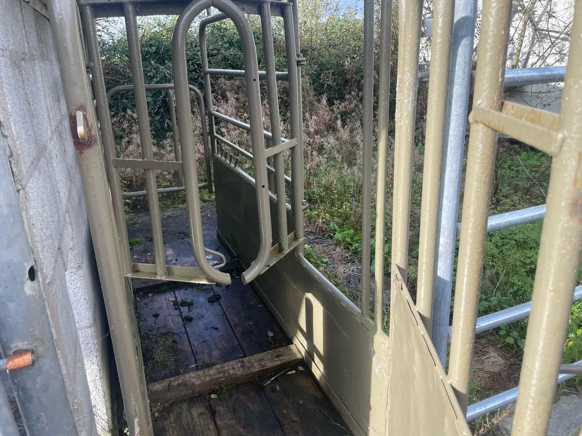 Cattle crush - Image 2