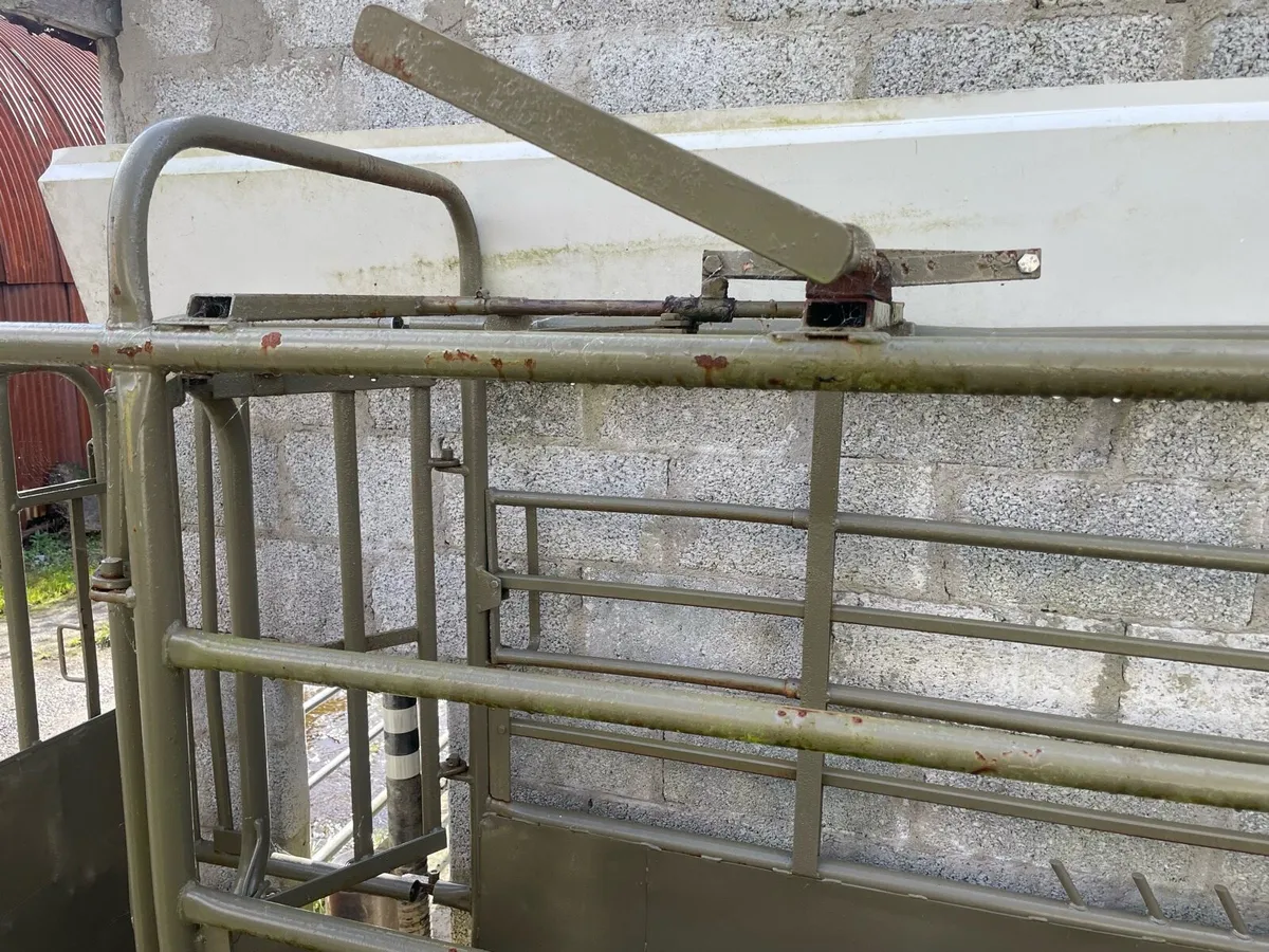 Cattle crush - Image 3