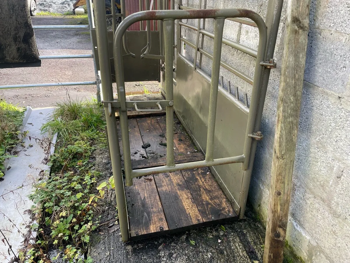 Cattle crush - Image 4