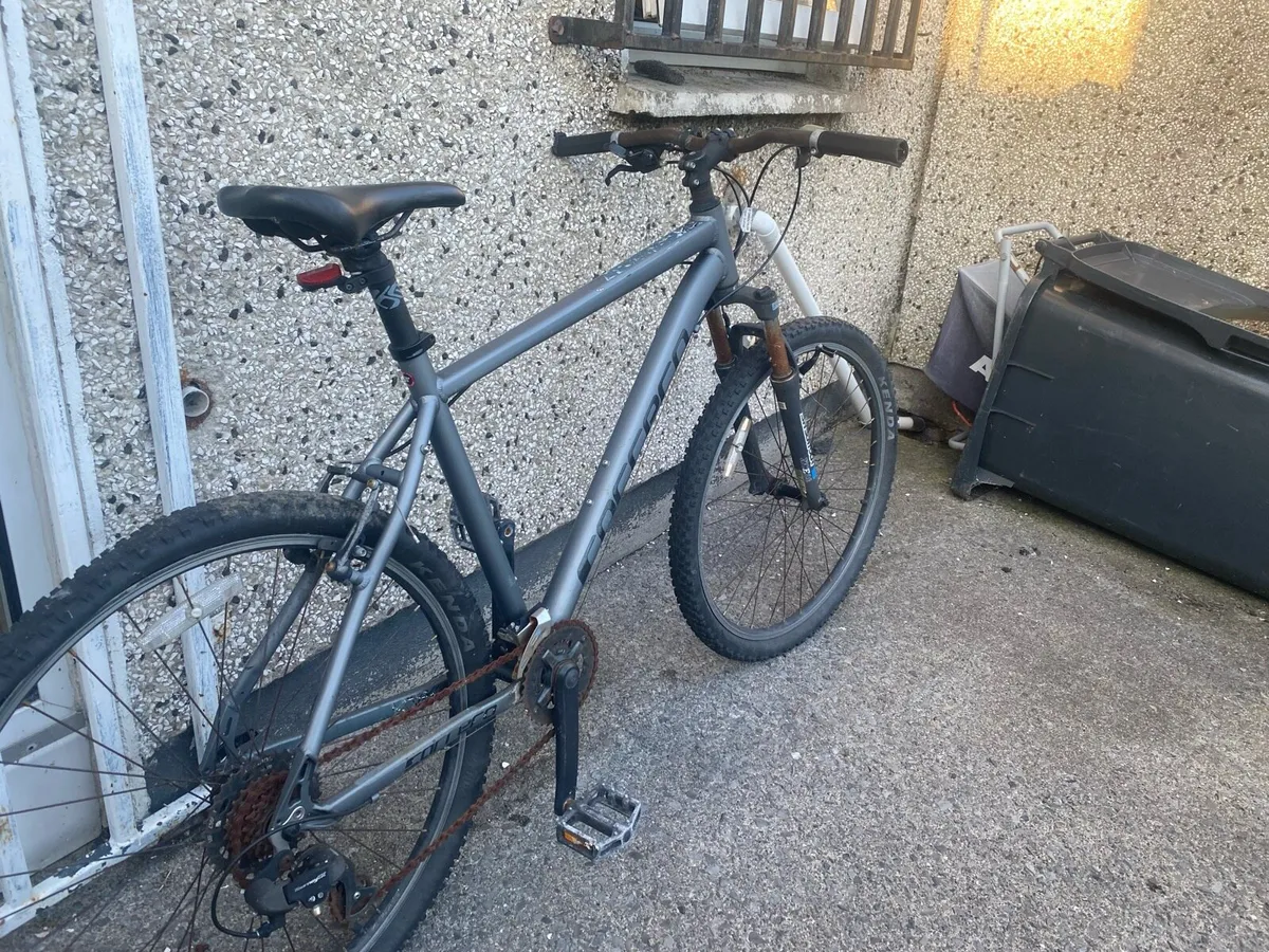 Carrera Mountain Bike - Image 2