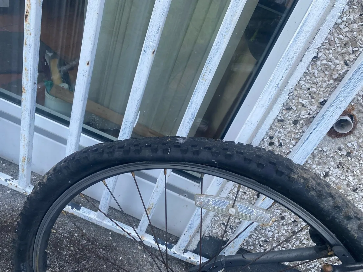 Carrera Mountain Bike - Image 3