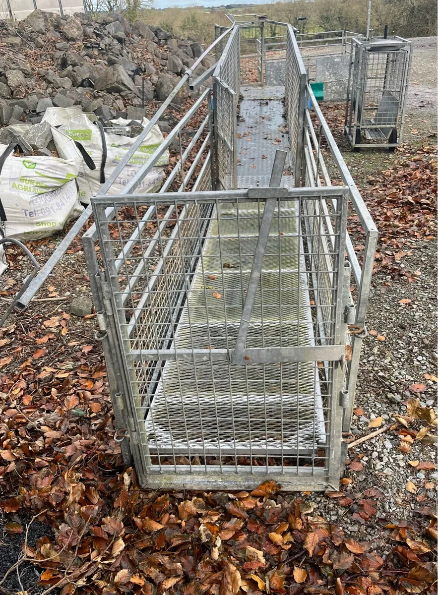 Sheep race & other sheep equipment - Image 1