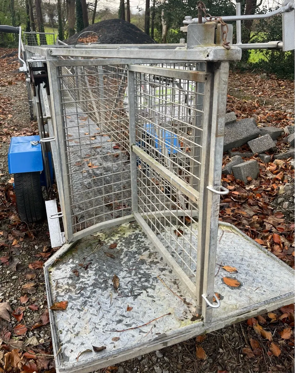 Sheep race & other sheep equipment - Image 2