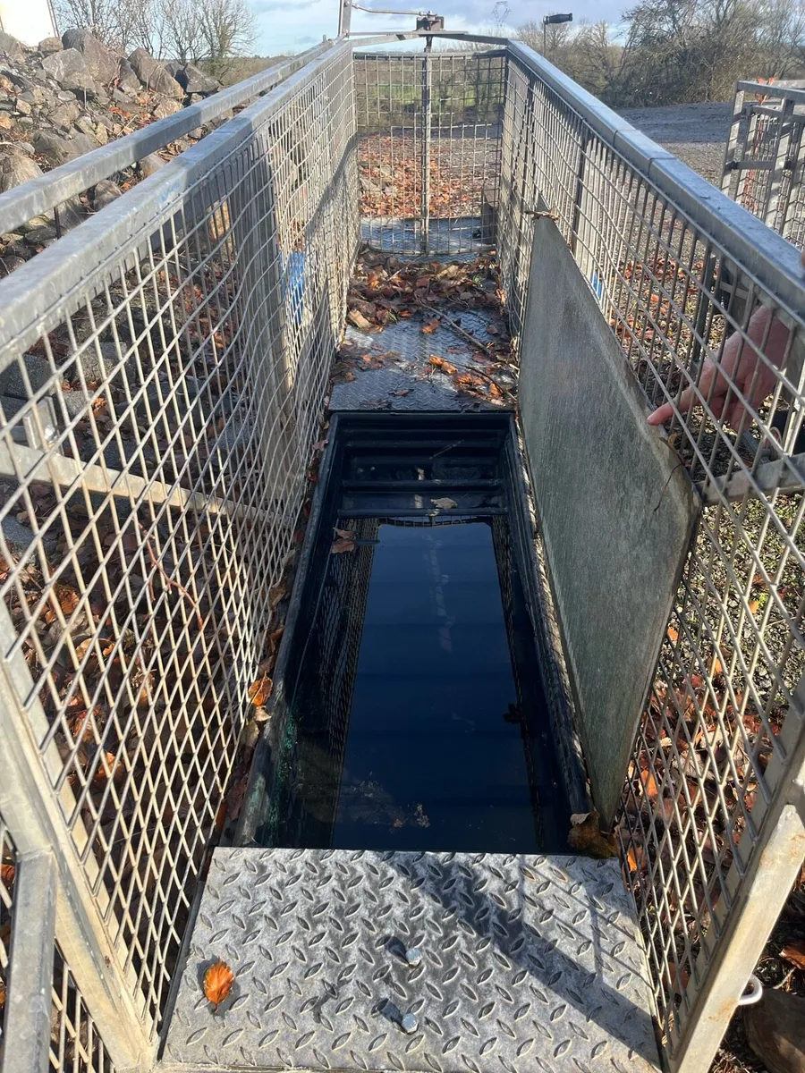 Sheep race & other sheep equipment - Image 4