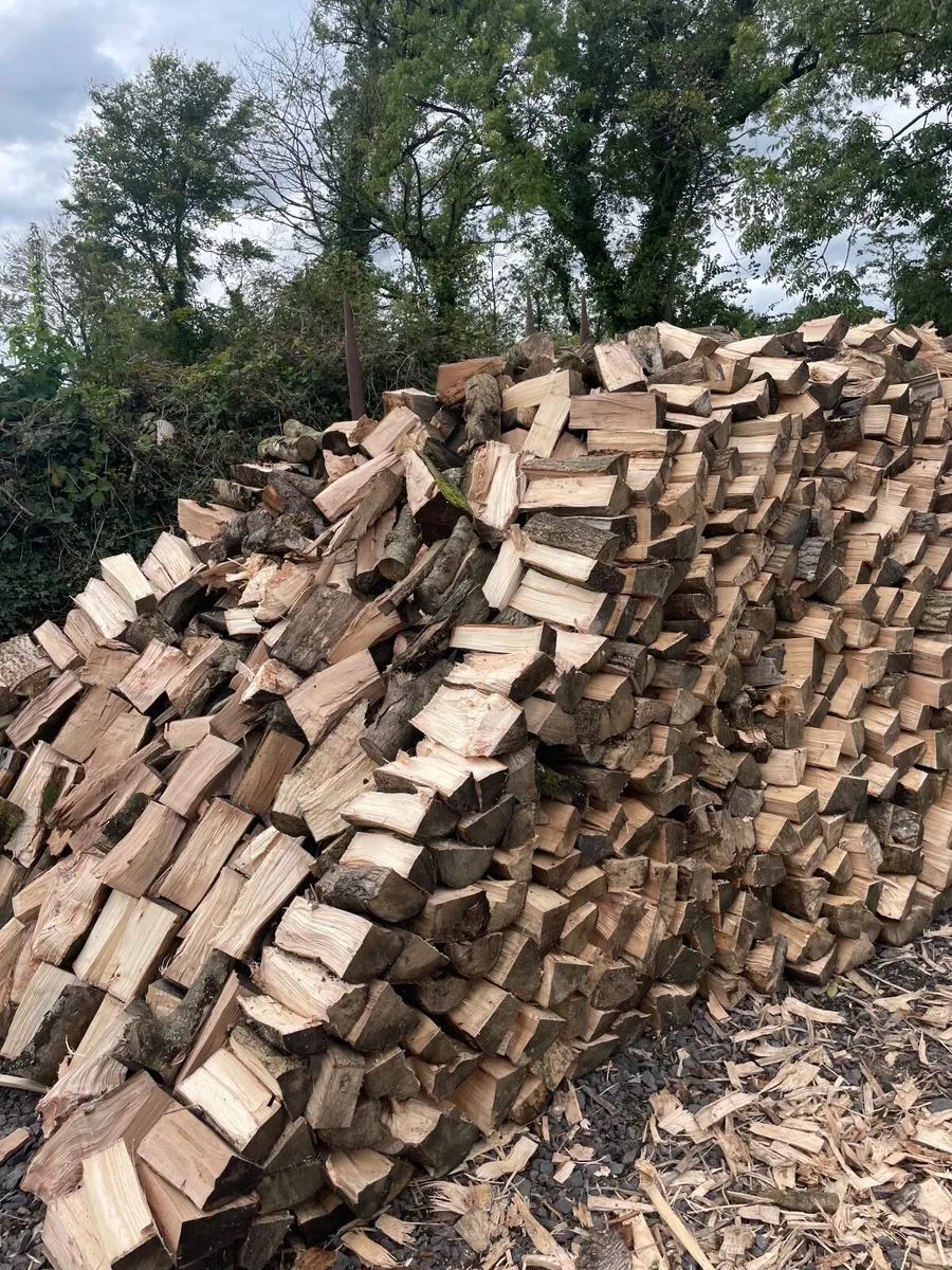 Firewood for sale - Image 1