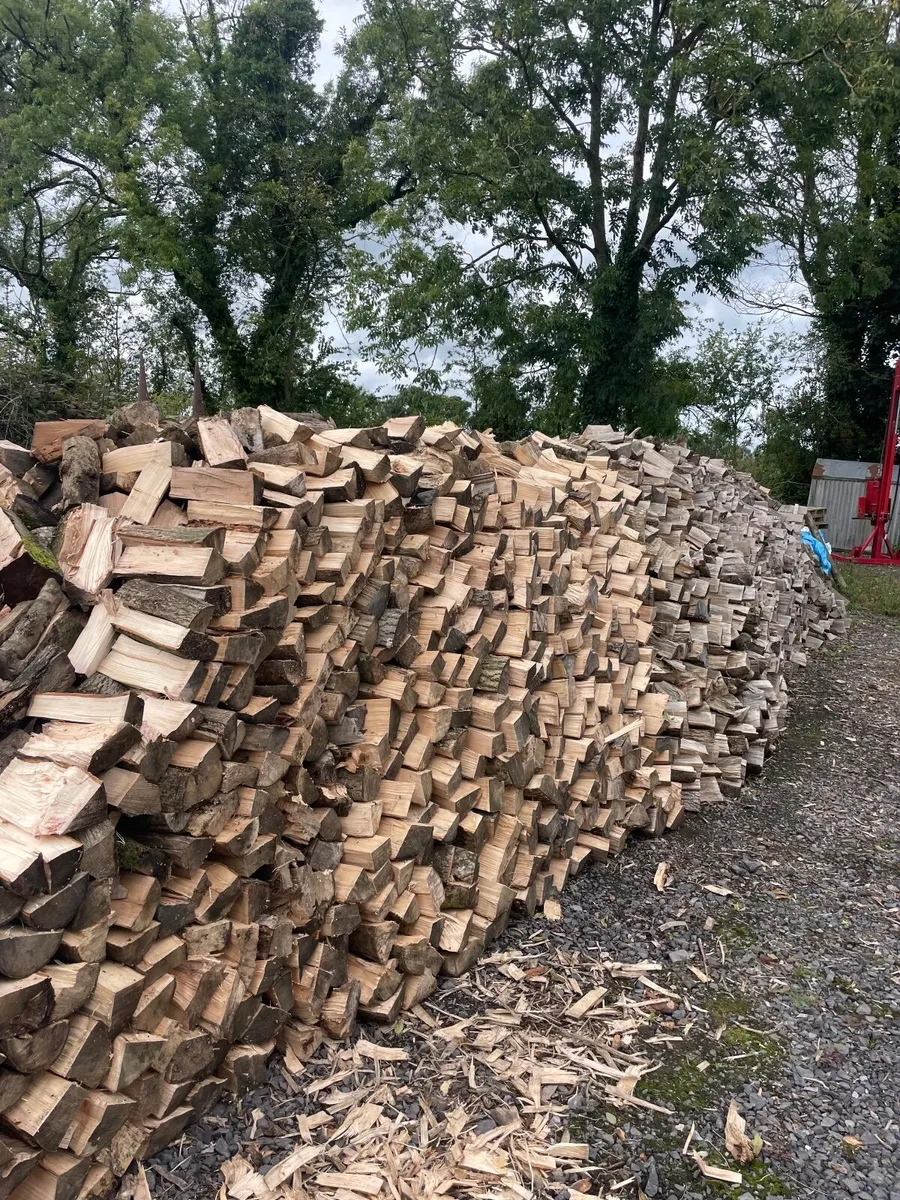 Firewood for sale - Image 2